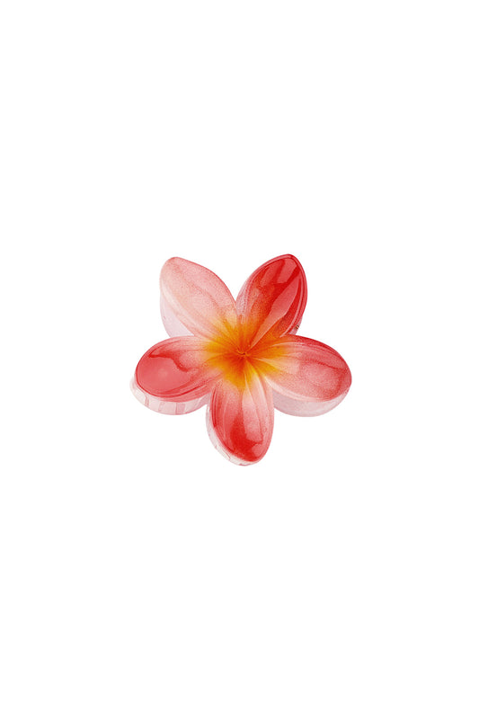 Hawaiian Dream | Hair Claw