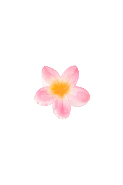 Hawaiian Dream | Hair Claw