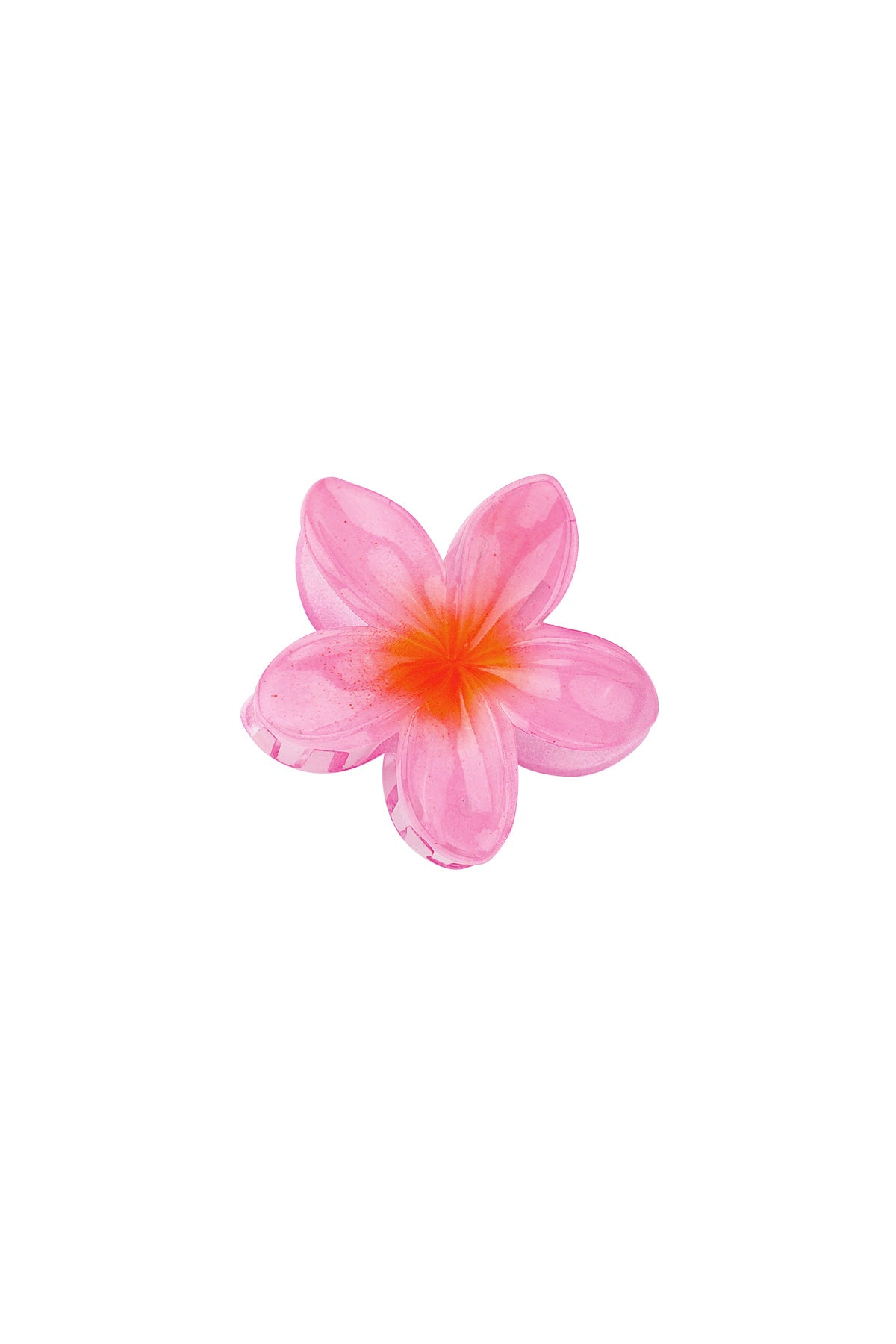 Hawaiian Dream | Hair Claw
