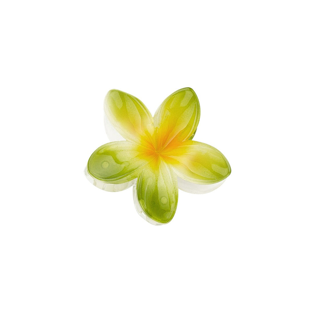 Flower-shaped object with green and yellow colors on a white background