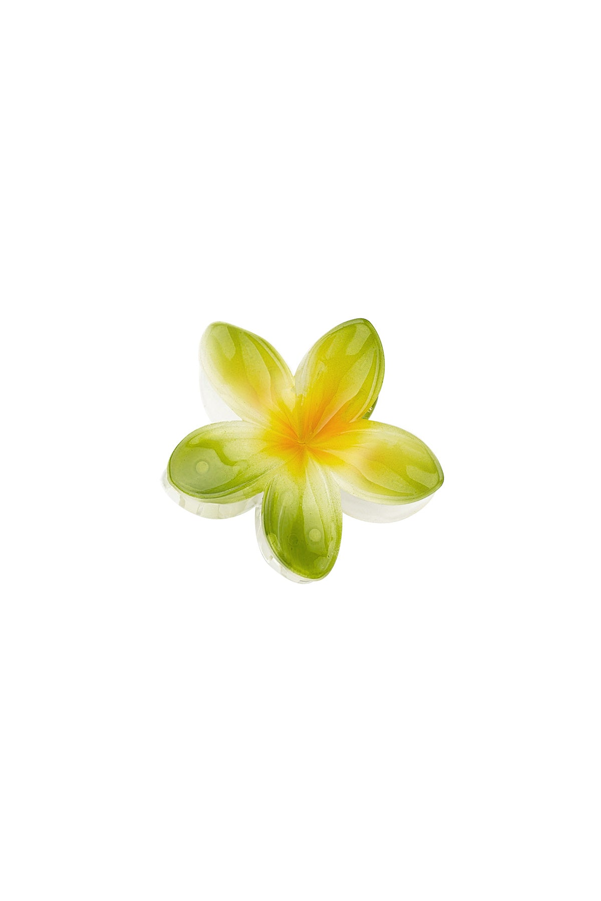 Hawaiian Dream | Hair Claw