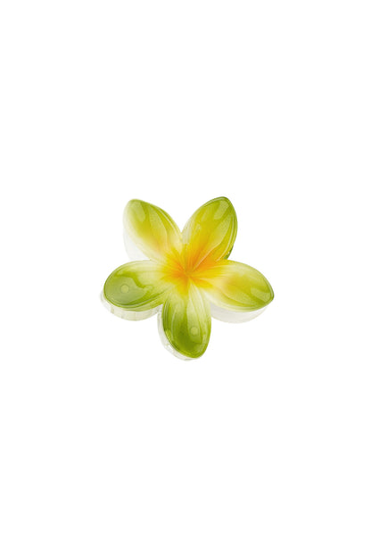 Hawaiian Dream | Hair Claw