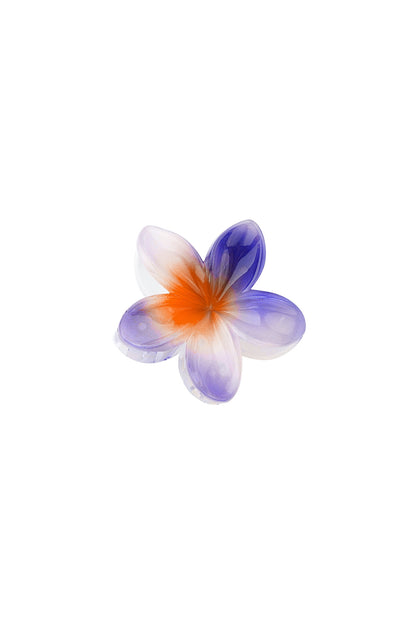 Hawaiian Dream | Hair Claw