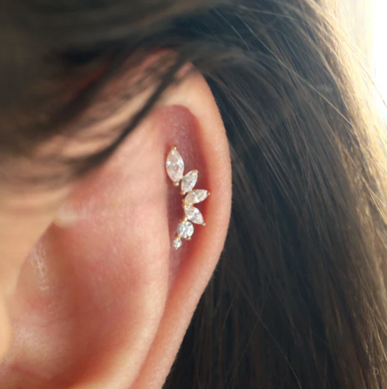 Vine | Ear Piercing